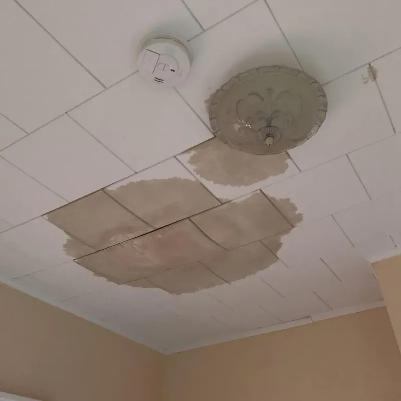Ceiling Water Damage Repair in Hanover, OH
