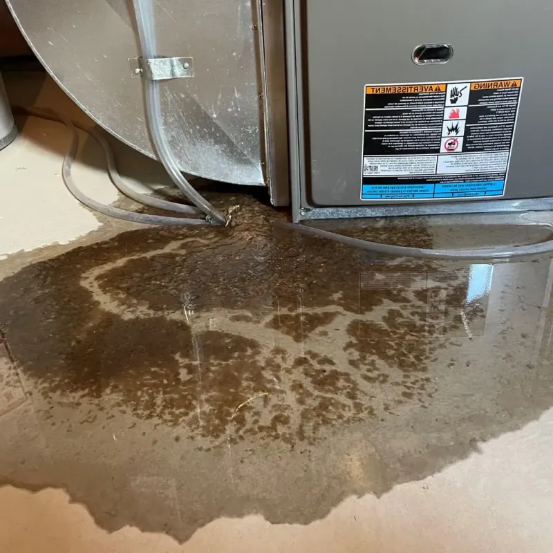 Pipe Burst and Leak Restoration in Hanover, OH
