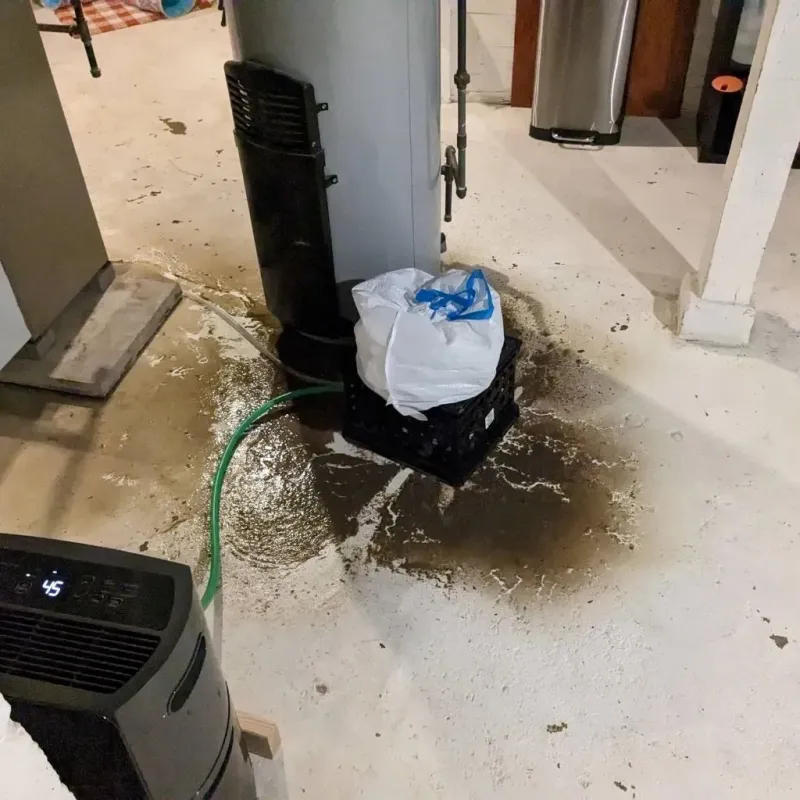 Sewage Backup Cleanup Service in Hanover, OH